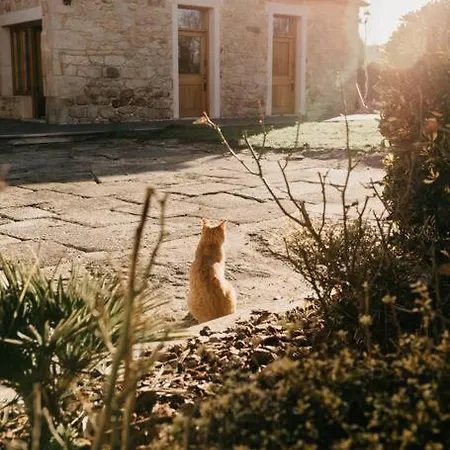 Casa Do Cuco - Rural House 3* Friol