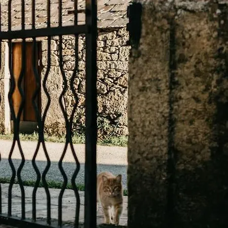 Casa Do Cuco - Rural House 3*