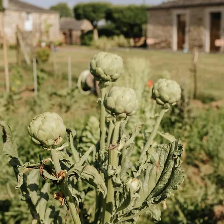 Casa Do Cuco - Rural House בית הארחה Friol
