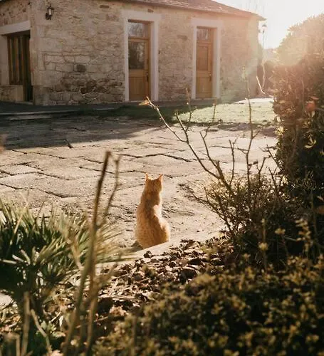Casa Do Cuco - Rural House 3* Friol