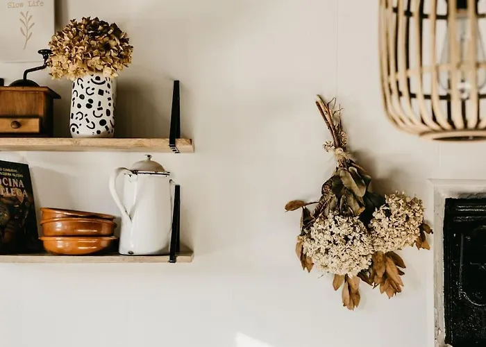 Casa Do Cuco - Rural House