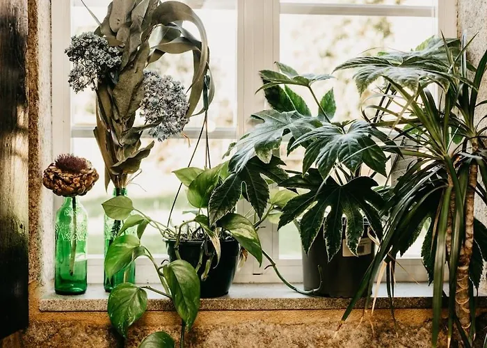 Casa Do Cuco - Rural House 3* Friol