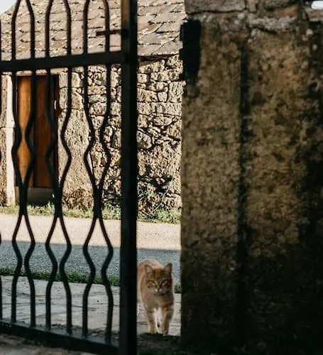 Casa Do Cuco - Rural House 3*