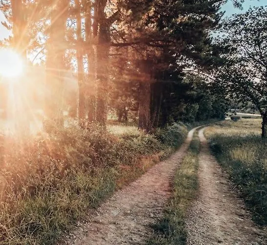 Casa Do Cuco - Rural House ゲストハウス 3*