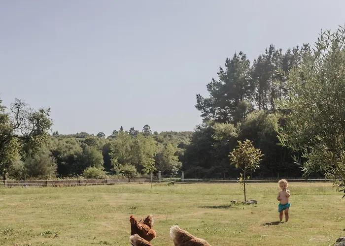 Casa Do Cuco - Rural House
