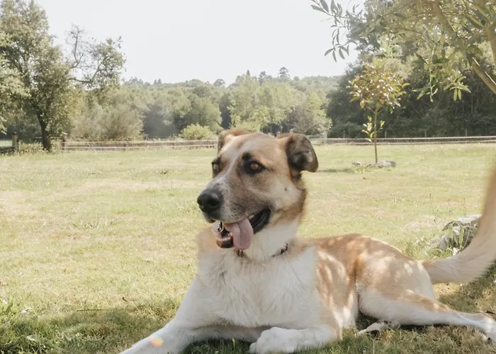 Casa Do Cuco - Rural House ゲストハウス