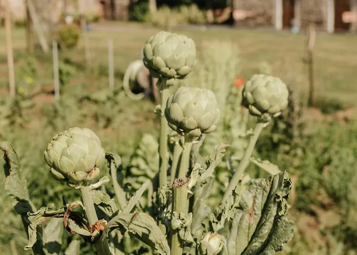 Casa Do Cuco - Rural House ゲストハウス Friol