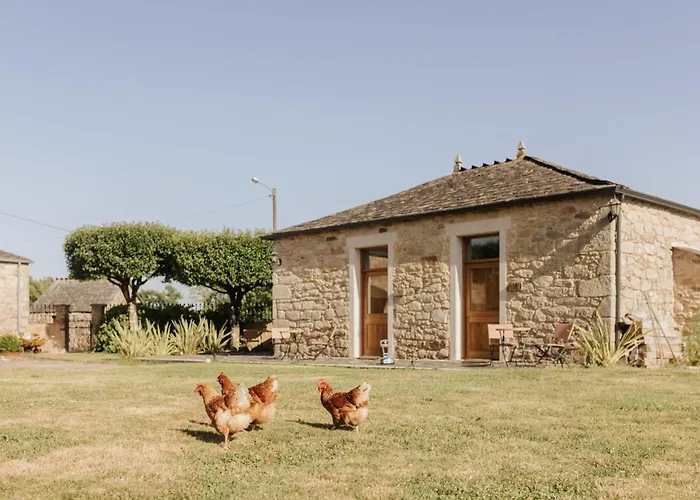 Casa Do Cuco - Rural House Friol